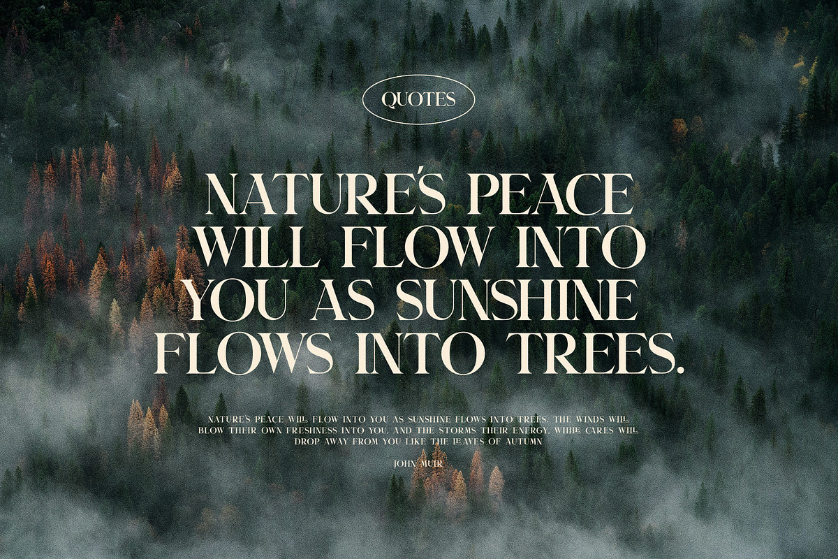 Calldera Elegant Serif Font, a Serif Font by Graphicxell (Photo 9 of 10)
