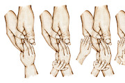 Family Hands 1-4 Kids Holding Hands, a Decorative Illustration by EkaterinaViArt (Thumbnail 2 of 3)