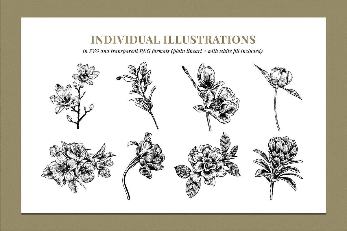 Botanical Illustration Bundle, an Illustration by Rough Edges Supply Co. (Photo 5 of 17)
