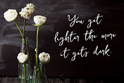 Ditto Font + Swashes, a Handwritten Font by Angie Makes (Thumbnail 6 of 11)