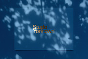 Kage - Botanical Shadow Overlays, a Texture Graphic by Studio Yorktown (Thumbnail 9 of 10)