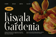 Nesty Elegant Serif Font, a Serif Font by Graphicxell (Thumbnail 4 of 8)