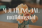 Evaida, a Serif Font by Kenrichi (Thumbnail 6 of 11)