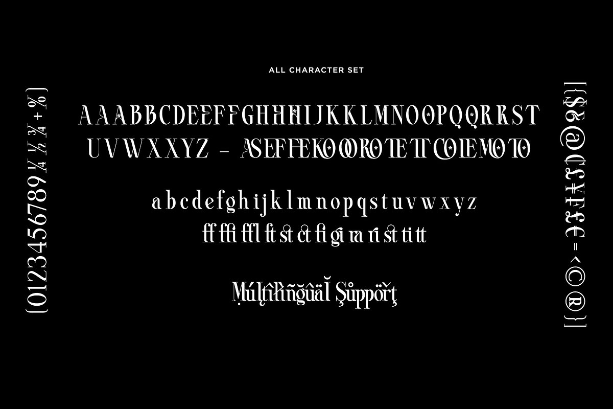 ROASTER - Absonstype, a Serif Font by Absonstype (Photo 11 of 11)