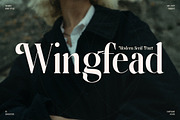 Wingfead Modern Serif Font, a Serif Font by Storytype Studio (Thumbnail 1 of 15)