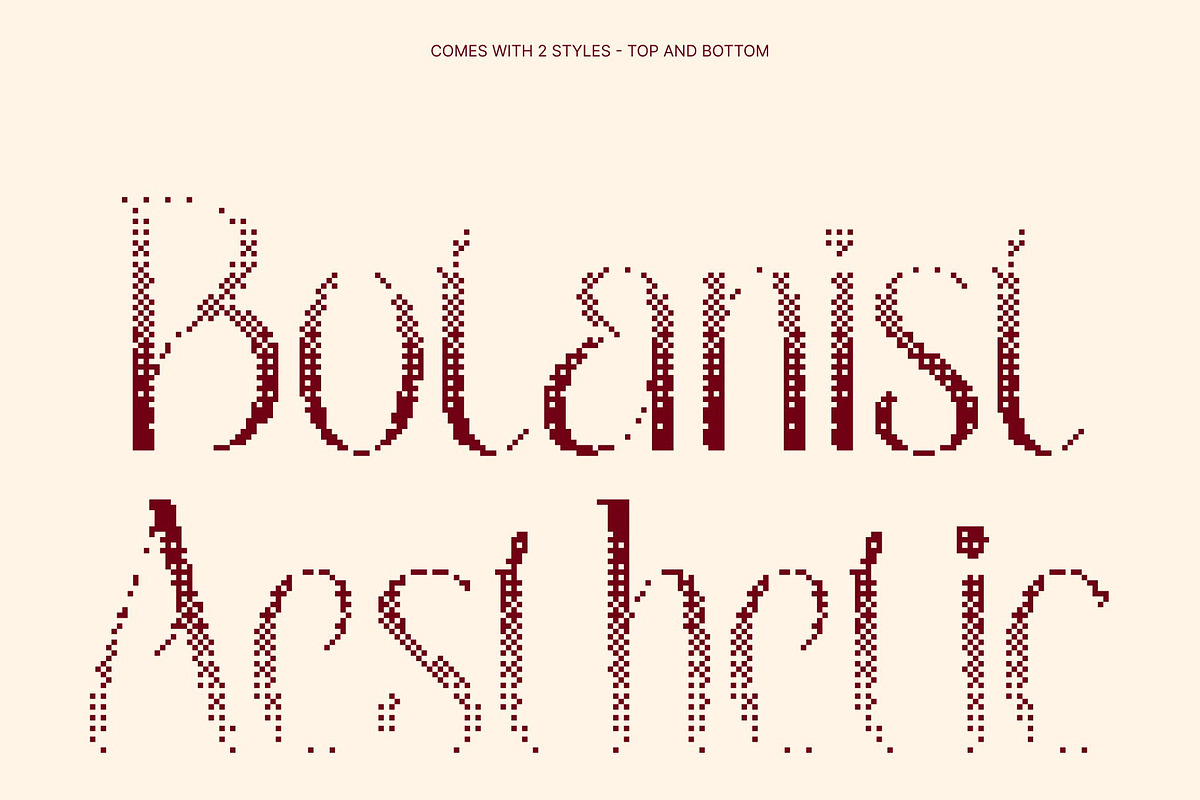 CS Belova Halfpixel, a Serif Font by Craft Supply Co. (Photo 3 of 8)