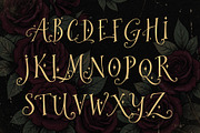 Huerozals Knights - Magical Fantasy, a Serif Font by HypeWorksCo (Thumbnail 11 of 12)