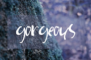 Minacht Font, a Script Font by SophieSaxo (Thumbnail 5 of 6)