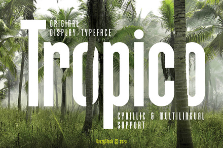 Tropico, a Blackletter Font by Vozzy Vintage Fonts