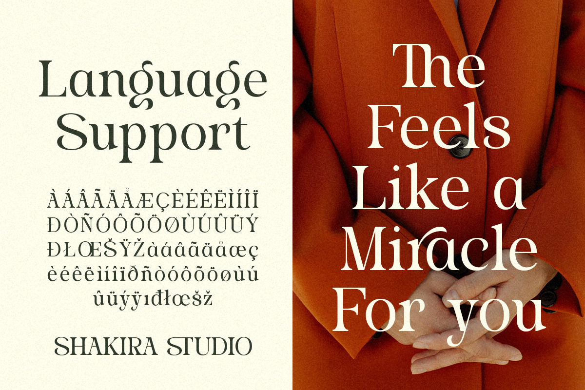 Stylish Average - Elegant Alternates, a Serif Font by Shakira Studio (Photo 8 of 10)