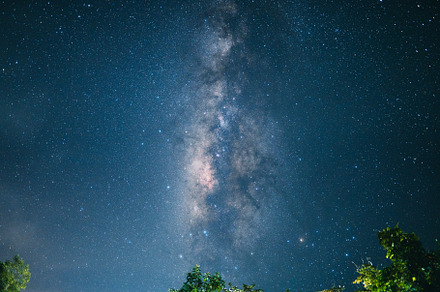 Night scene milky way background,Trees Against Sky At Night, a Nature Photo by Art Rachen