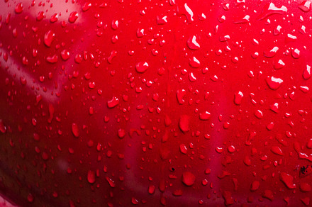 Trees distorted through raindrops preview 6