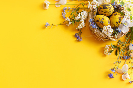 Happy Easter! Modern dyed eggs in nest and spring blossom flat l