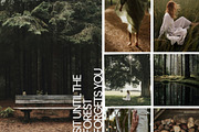 Forest Stock Photos | Moody Woodland, a Nature Photo by Tale.Haus (Thumbnail 11 of 20)