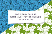 10 Black and White Leaves Patterns, a Pattern Graphic by Anne Elster Design (Thumbnail 6 of 6)