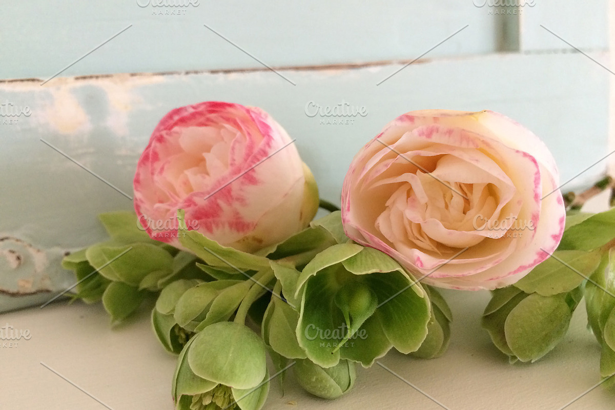 Bundle styled stock - spring flowers, a Business Photo by Pepperbelle Tinkers (Photo 3 of 5)