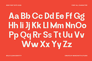 Mailna – Bold Modern Sans Serif, a Sans Serif Font by MaikoHatta (Thumbnail 5 of 8)