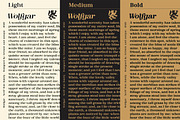 Wolfgar - Serif Font Family, a Serif Font by Artistic & Unique (Thumbnail 15 of 15)