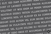 BARN ACRE Farmhouse Serif Font, a Serif Font by Blush Font Co. (Thumbnail 2 of 7)