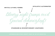 Stoic Script Font, a Script Font by Up Up Creative (Thumbnail 2 of 9)