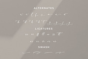 Victorya Maoreely, a Script Font by Integritype Studio (Thumbnail 11 of 15)