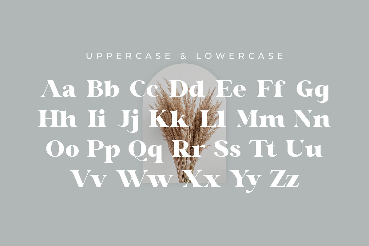 Glaure Vintage Serif Font, a Serif Font by Idea Studio (Photo 8 of 10)