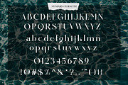 Resskue Elegant Display Serif, a Serif Font by Alfinart (Thumbnail 5 of 10)