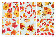 Golden | Watercolor Autumn set, a Decorative Illustration by Tanya Vollar (Thumbnail 10 of 14)