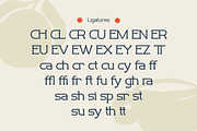 Revaston - Classic Slab Serif Font, a Slab Serif Font by Flawless And Co (Thumbnail 9 of 10)