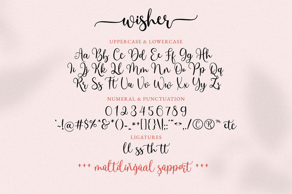 Wisher - Tail Swash Font Script, a Script Font by Airotype (Photo 8 of 10)