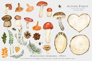 Fall Forest Mushrooms Clipart