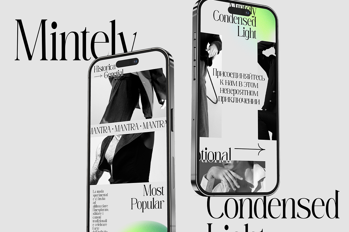 Mintely, a Serif Font by din-studio.com (Photo 5 of 12)