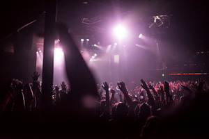 Crowd Hands at Concert