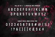 Hardley Brush x Rocky (font duo), a Handwritten Font by Negara Studio (Thumbnail 7 of 12)