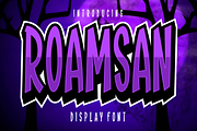Roamsan, a Sans Serif Font by lelevien (Thumbnail 1 of 6)