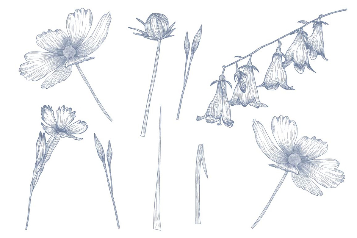 Wild Flowers, a Graphic by lycka (Photo 4 of 4)