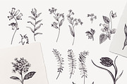 Blooming, an Illustration by Lisla (Thumbnail 3 of 11)