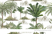 RAINFOREST, Luxury Prints!, a Pattern Graphic by HannaStudio (Thumbnail 7 of 7)