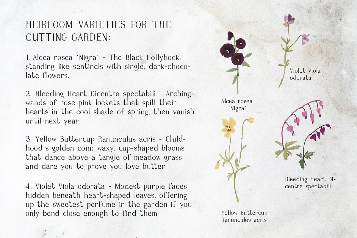 Imperfect Organic Serif Font, a Serif Font by whiteheartdesign (Photo 6 of 12)