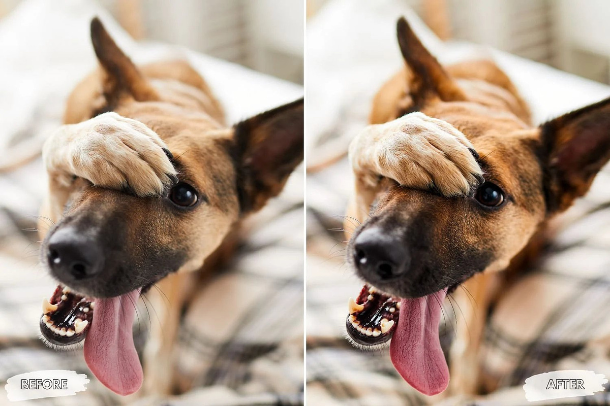 10 Velvet Mocha Lightroom Presets, a Preset Add-On by LucaTheme (Photo 4 of 9)