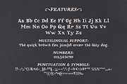Garden Song serif font and extras, a Serif Font by Ana's Fonts (Thumbnail 3 of 12)