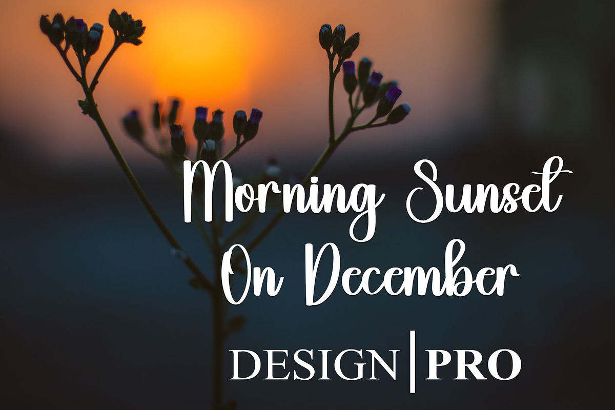Longday, a Script Font by FreshTypeINK (Photo 4 of 7)