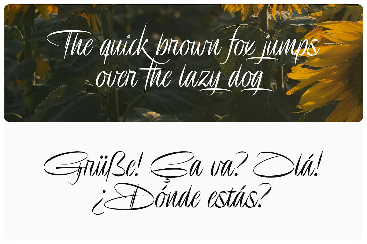Delion | Signature Font, a Script Font by Lemonthe (Photo 8 of 10)