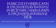 Monogramma, a Serif Font by Wiescher-Design (Thumbnail 4 of 14)