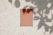 Louve – Shadow Mockup Scene Creator, a Product Mockup by October November (Thumbnail 12 of 15)