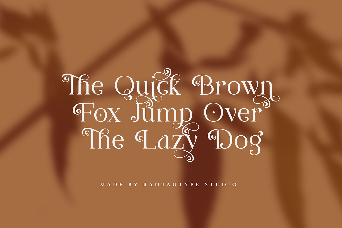 Figerly Modern Serif Font, a Serif Font by RantautypeStudio (Photo 3 of 15)