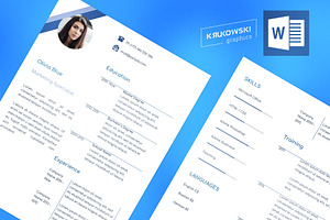 Blue Resume CV MS Word File