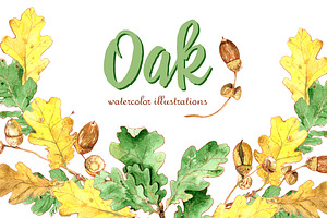 Oak. Watercolor Illustration