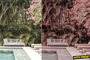 Pink Dream Presets for Lightroom, a Preset Add-On by Hubzway (Thumbnail 5 of 5)