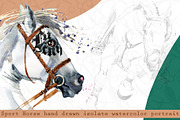 Sport Horses watercolor set, an Object Graphic by FineArt (Thumbnail 17 of 18)